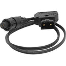 AJA 18 inch (45.72 cm) DC cable, P-TAP connector to AJA D5/10-PC connector - MQ Group
